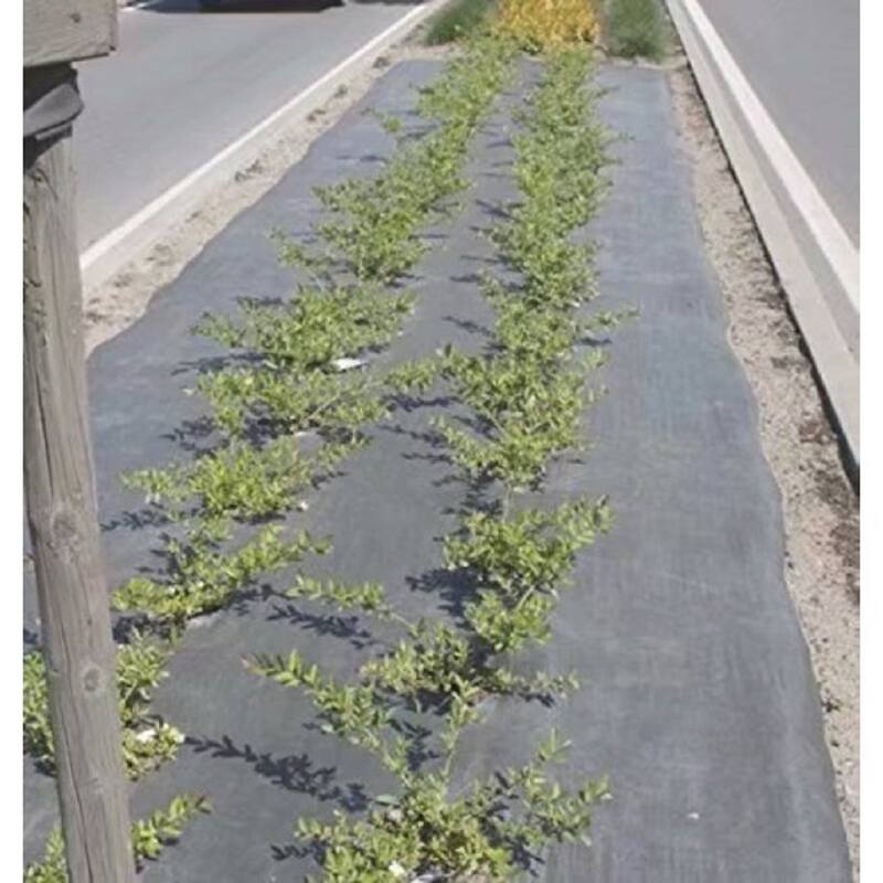 Agfabric weed barrier with6",2rows planting hole,4'x6' - 4'x6'