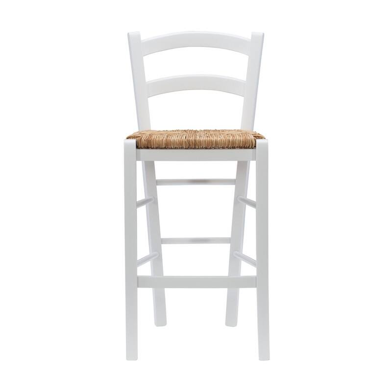 Cloney Counter Stool (Set of 2)