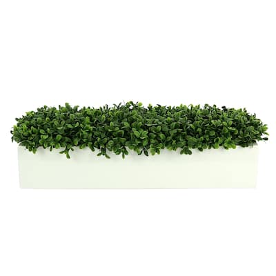 UV Rated Outdoor Boxwoods Arranged in a Rectangular Planter