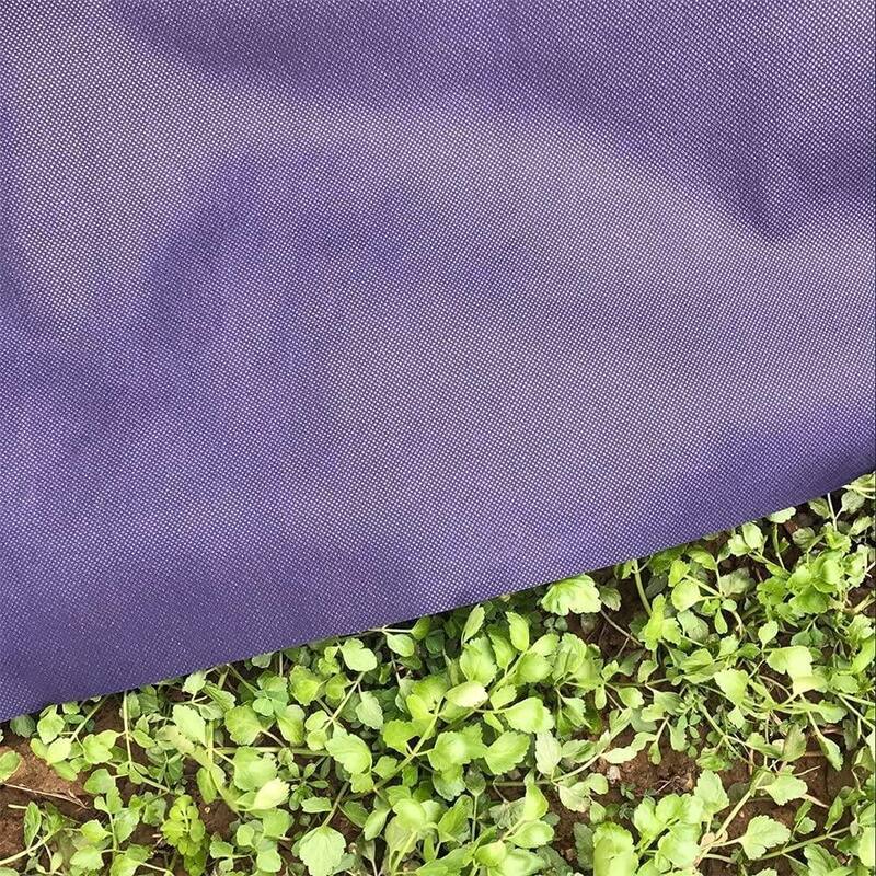 Agfabric Plant Cover Freeze Frost Protection Bag 72''x72''x12'' Bed