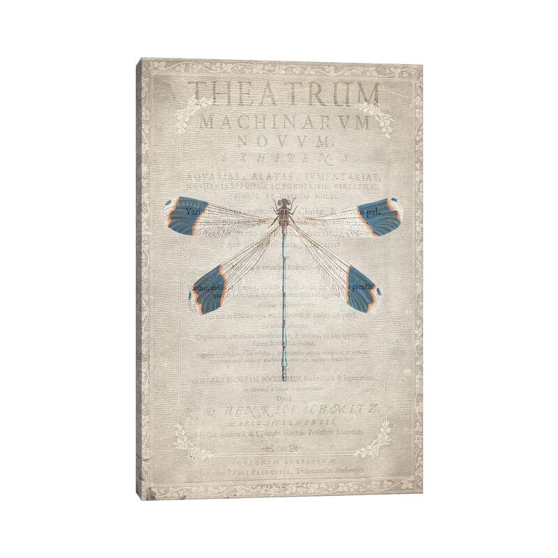 iCanvas "Dragonfly Book I" by Kimberly Allen Canvas Print