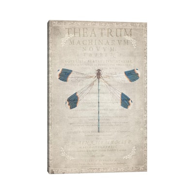 iCanvas "Dragonfly Book I" by Kimberly Allen Canvas Print