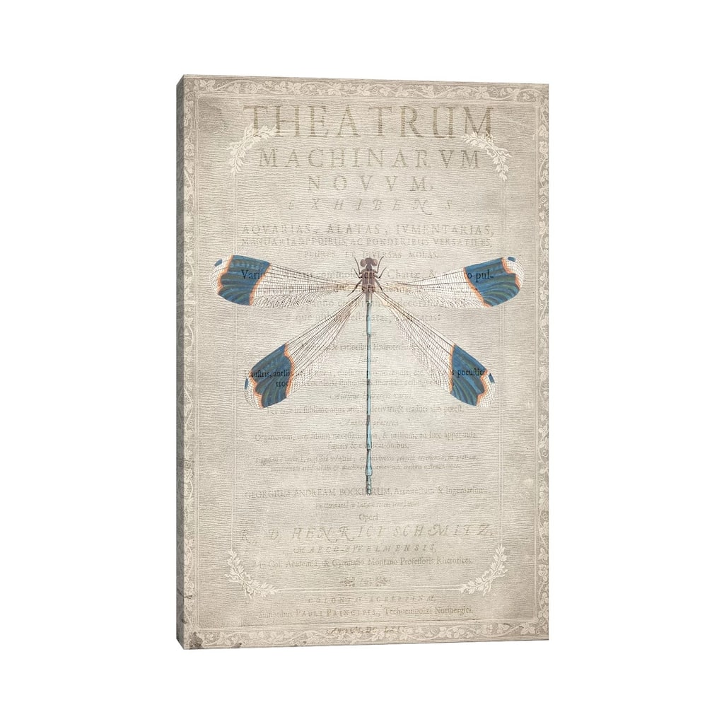 iCanvas "Dragonfly Book I" by Kimberly Allen Canvas Print