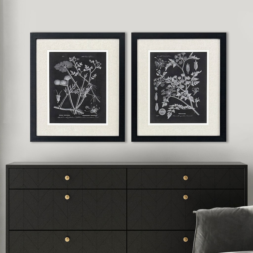 Paragon Mono Botanicals I Framed Art - Set of 2