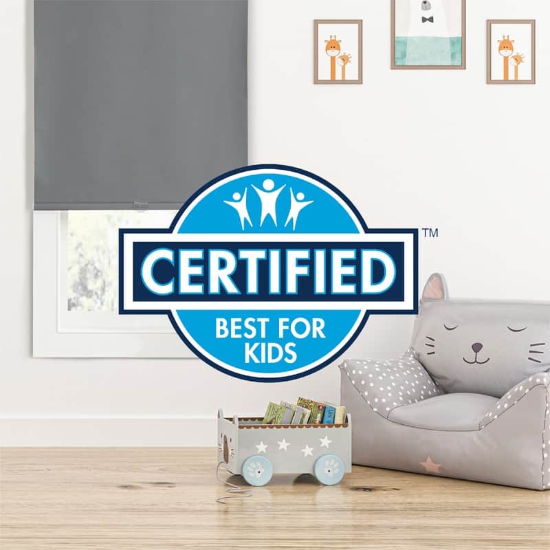 Eclipse Holden Solid Light Filtering Light Filtering Cordless Roller Shade