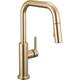 Option Champagne Bronze
