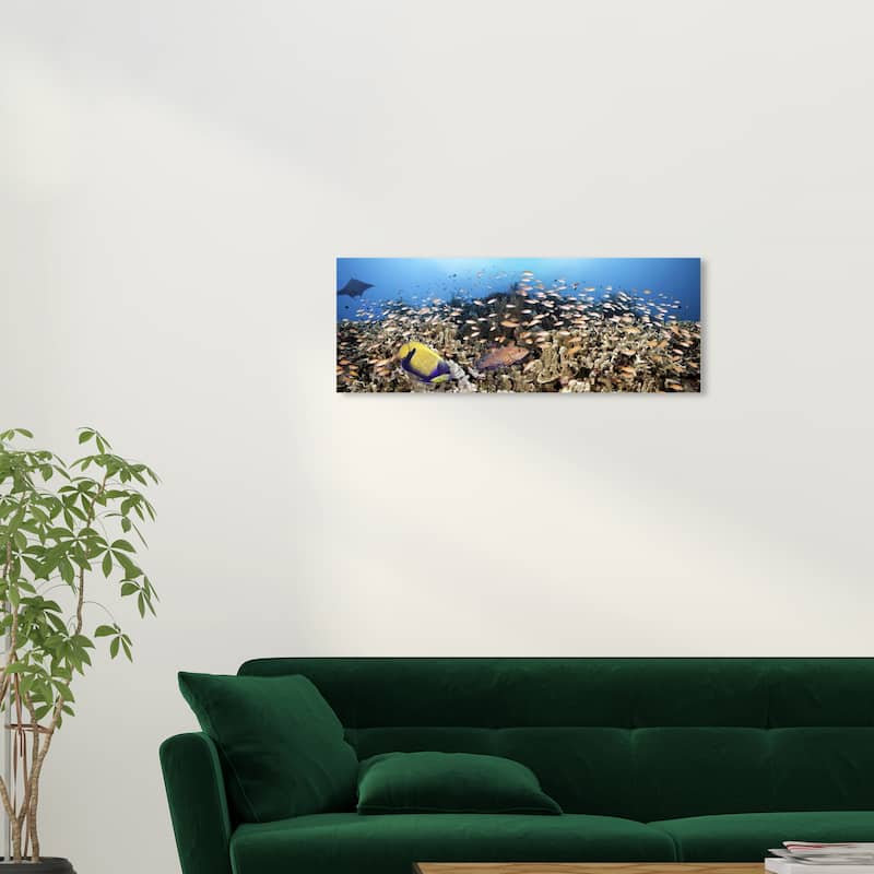 Wynwood Studio Canvas Animals David Fleetham - Panoramic Philippine Reef Blue and Teal Nautical & Coastal Wall Art Canvas Print - 30 x 30
