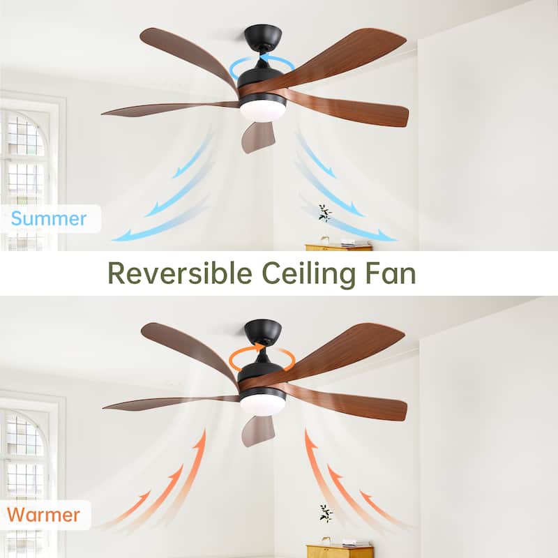 52 Inch Modern Ceiling Fan with 5 ABS Blades Noiseless Reversible DC Motor Black for Bedroom