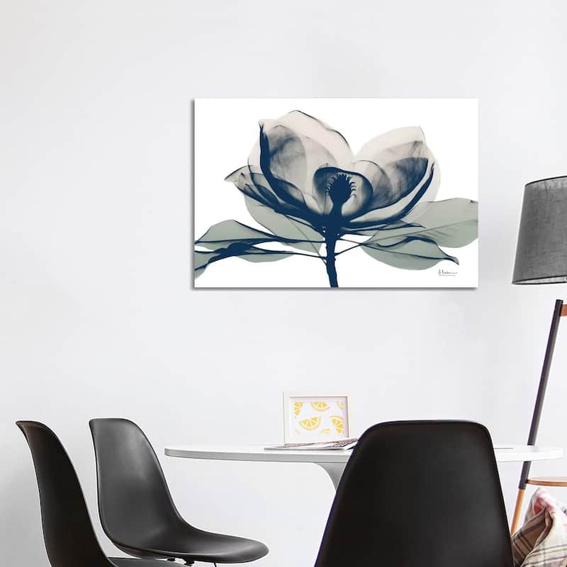 iCanvas "Blue Ranged Magnolia I" by Albert Koetsier Canvas Print - 26x40x1.5