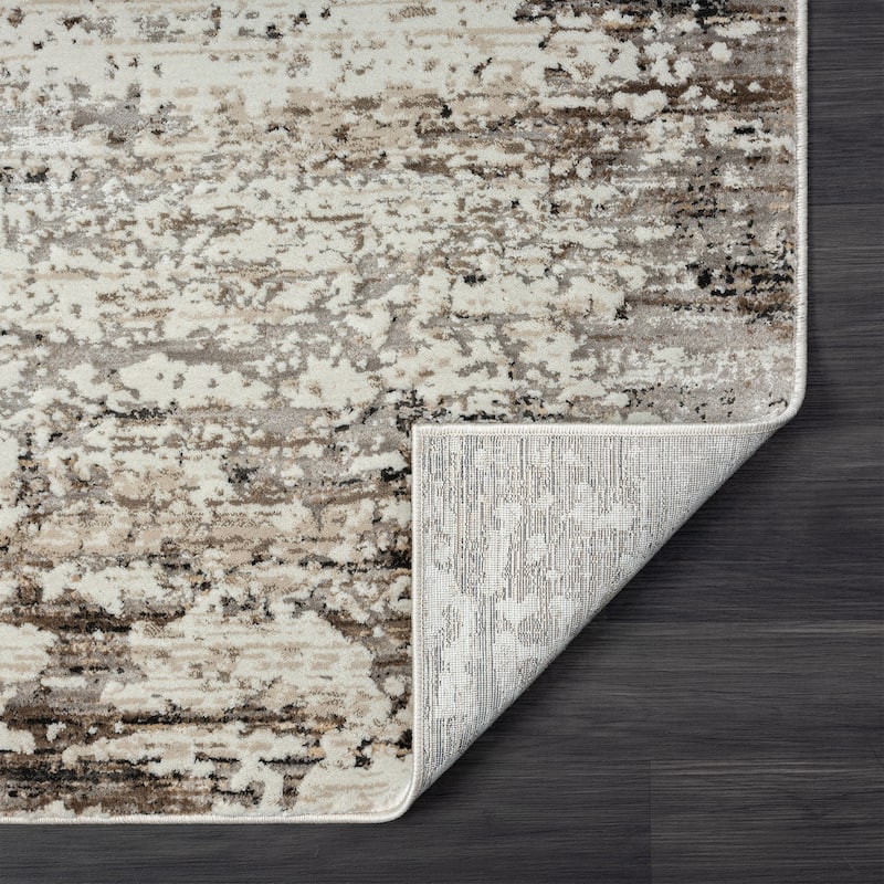 Distressed Abstract Area Rug - 2' x 3'