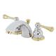 Option Polished Chrome/Polished Brass