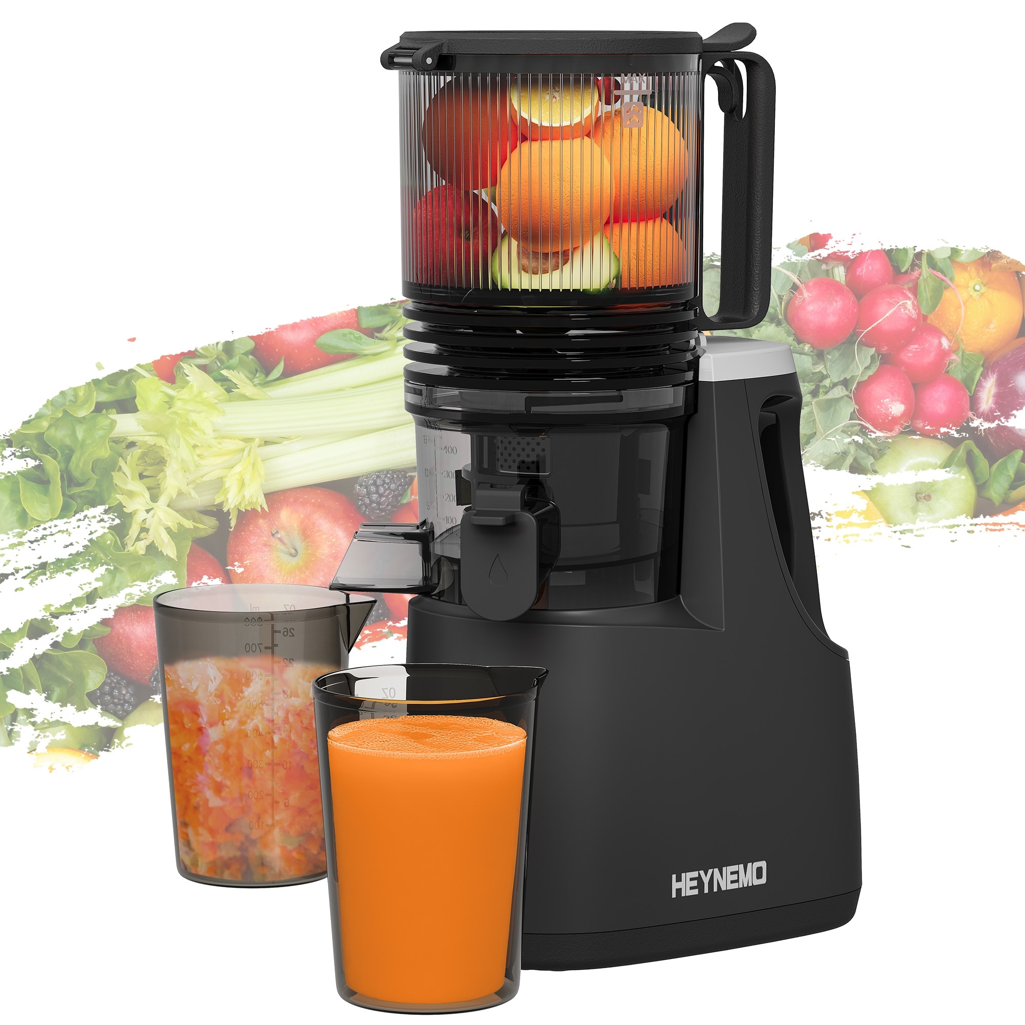 250W Slow Masticating Juicer Machines with with Dual-Layer Strainer