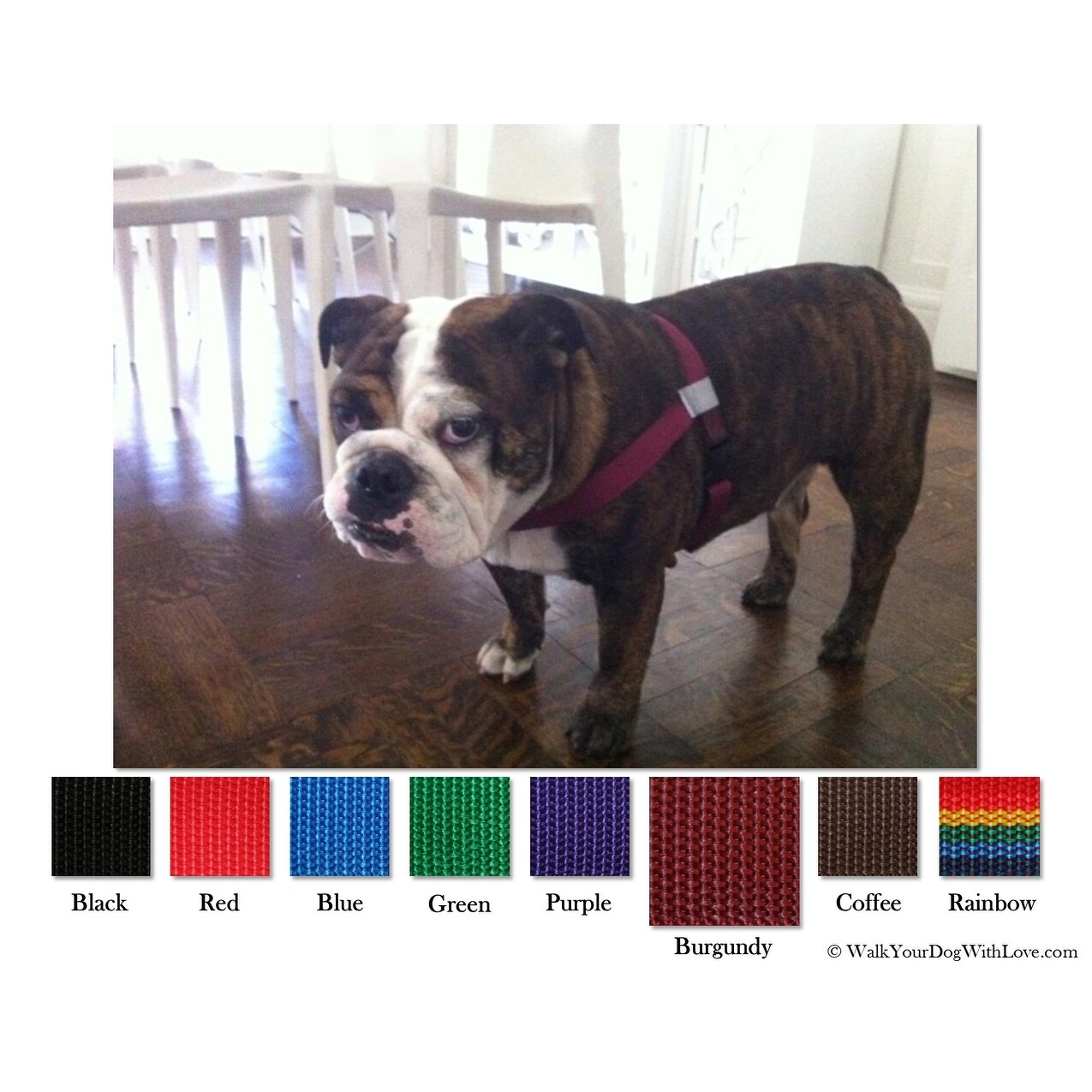 walk your dog with love harness