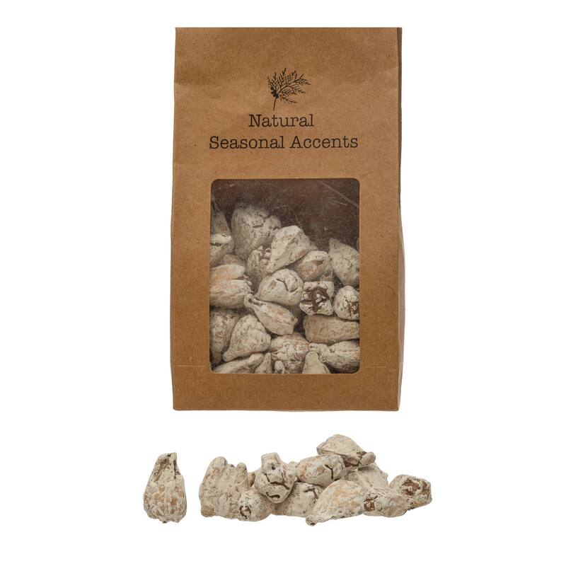 Dried Hala Fruit in Kraft Bag - Whitewashed