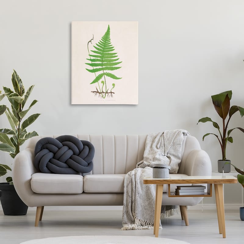 Stupell Curled Budding Fern Sprigs Canvas Wall Art Design By Phillipa Katz