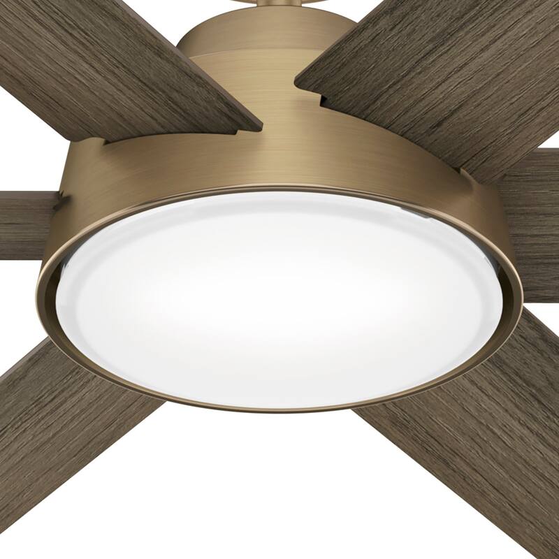 Hunter 52" Donatella Ceiling Fan with LED Light Kit and Handheld Remote - Transitional, Mid-Century, Modern