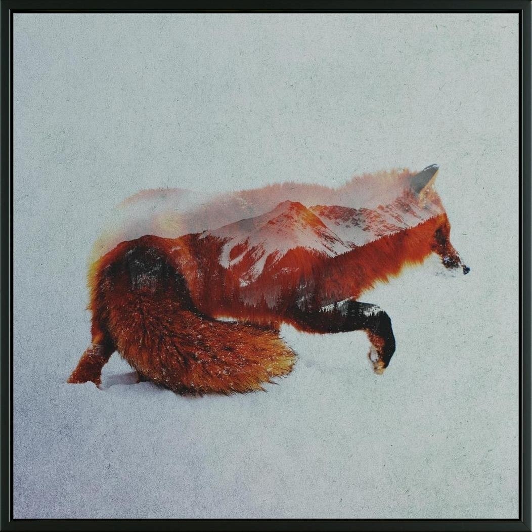Shop Easy Art Prints Andreas Lie S North Fox Premium Canvas Art
