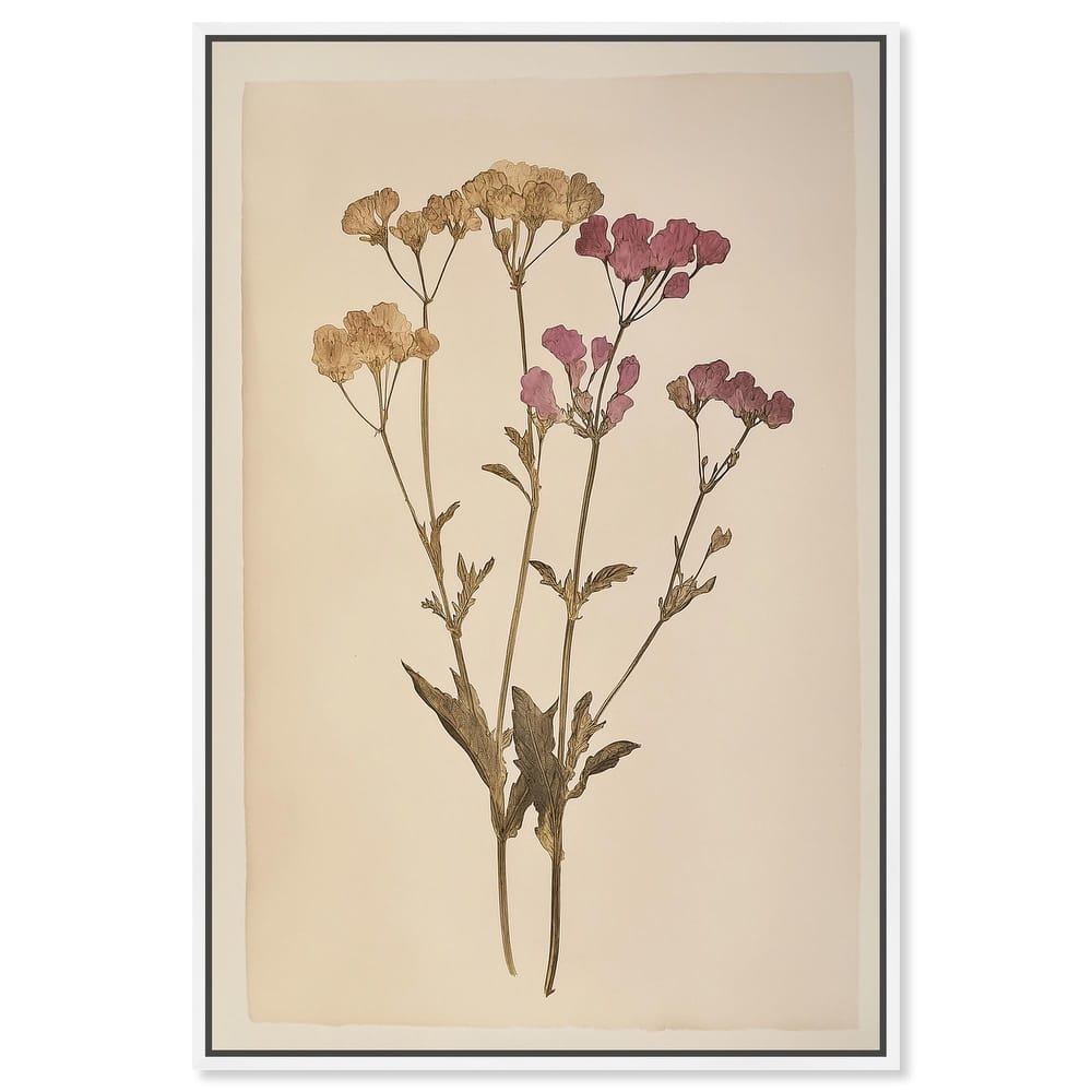 Dried Flower Canvas by Art Remedy