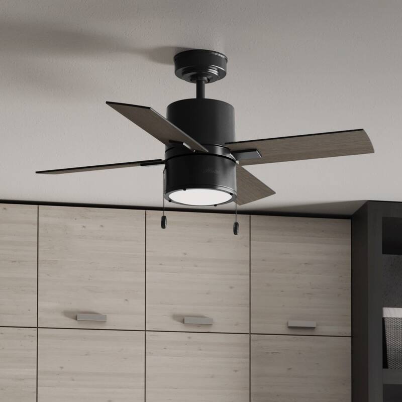 Hunter 42" Beck Ceiling Fan with LED Light Kit and Pull Chain - Transitional, Modern, Industrial - Matte Black