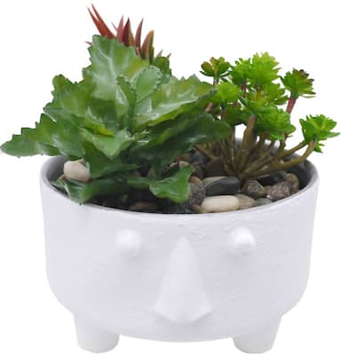 ABN5E152-CRM Matte White 5 inch planter with stone man face, Planters