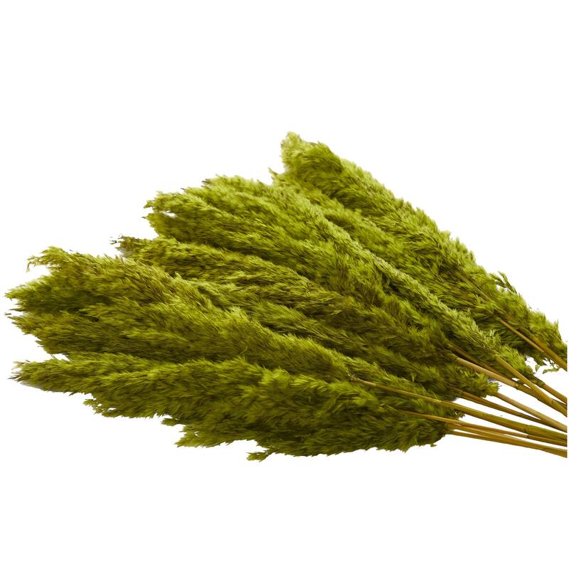 Dried Plant Pampas Grass Home Decor Natural Foliage with Long Stems - Brown or Green - Roche River Decor