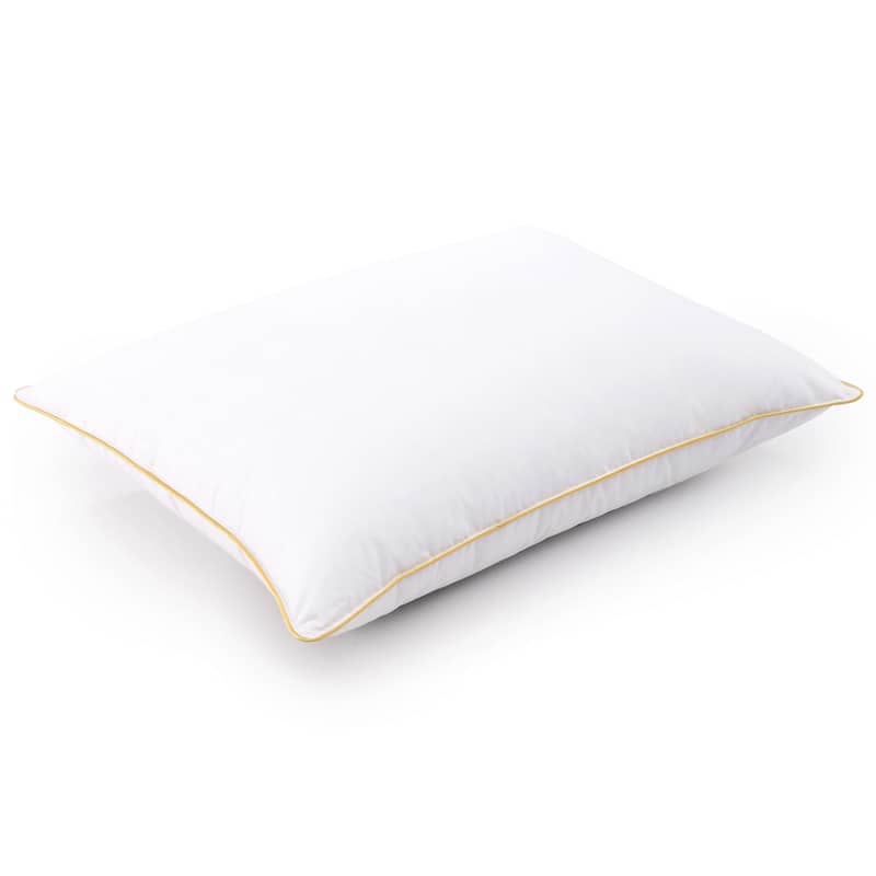 Cheer Collection 14x19-inch Hypoallergenic Toddler Pillow