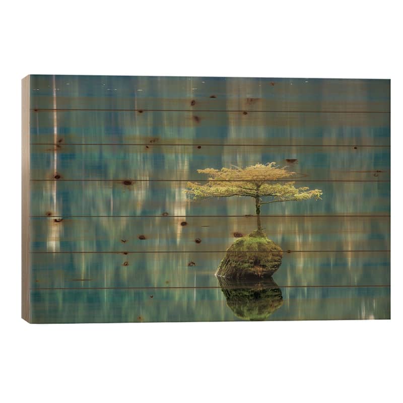 Fairy Lake Bonsai Print On Wood by Tim Oldford - Multi-Color - 18x26x1.5