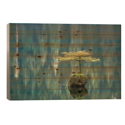 Fairy Lake Bonsai Print On Wood by Tim Oldford - Multi-Color