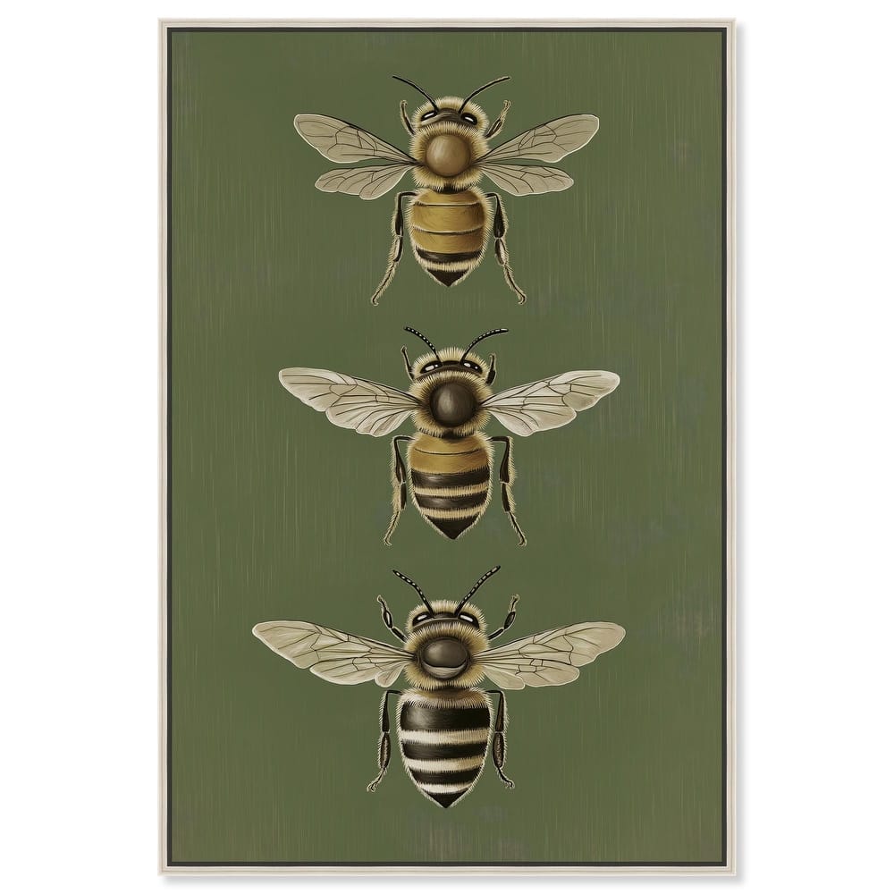 Anatomy of the Bee Canvas by Art Remedy