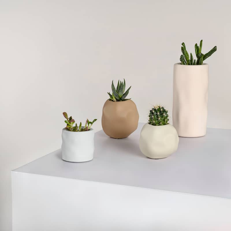 JONATHAN Y Linden Handmade Concrete Organic Sculptural Cylinder and Round Planter Set with Drainage Holes (Set of 4)