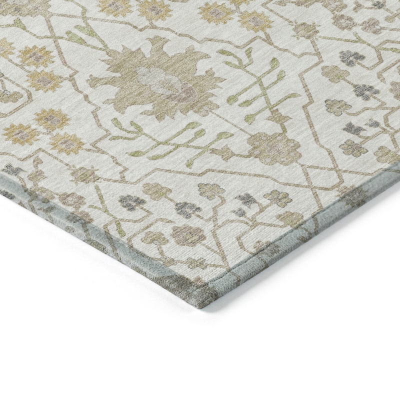 Machine Washable Indoor/ Outdoor Global Traditional Chantille Rug