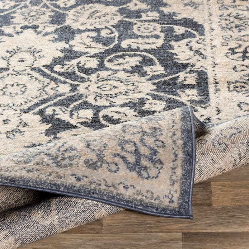 Amedeo Traditional Area Rug