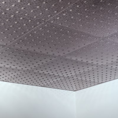 FASÄDE Dome Decorative Vinyl 2ft x 2ft Lay in Ceiling Panel in Galvanized Steel (5 Pack)