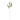 Asparagus Faicatus Spray Floral Accent (Set of 24) - Green - 31"