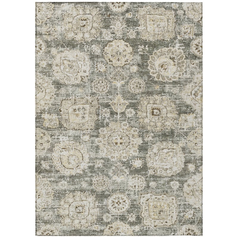 Machine Washable Indoor/ Outdoor Chantille Persian Vintage Rug