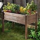 Option Rustic
