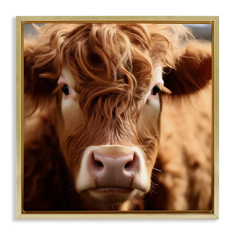 Stupell Close Up Furry Cow Portrait Framed Floater Canvas Wall Art Design By Heidi Kuntz - 18 x 18 - Gold