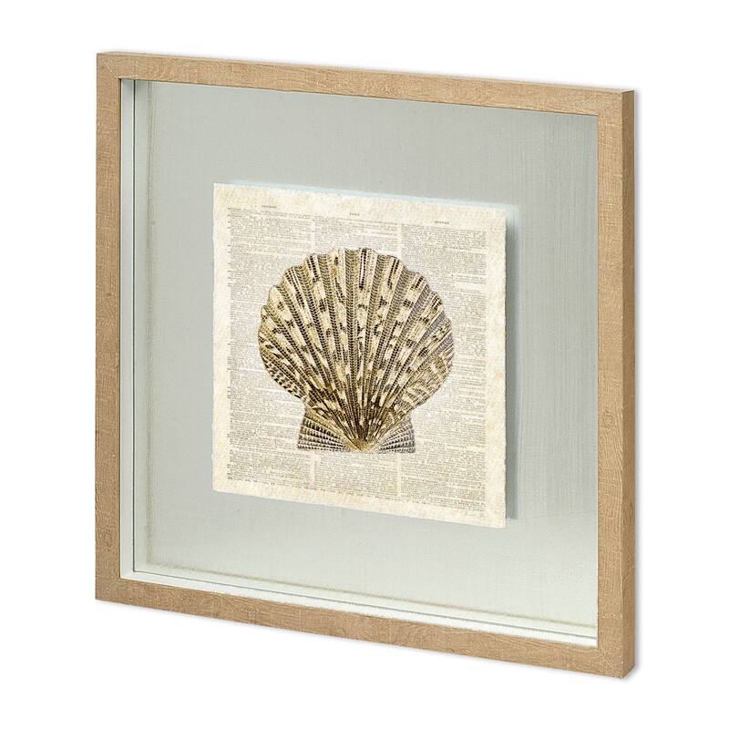 Scallop Shell Pages Framed Art Print