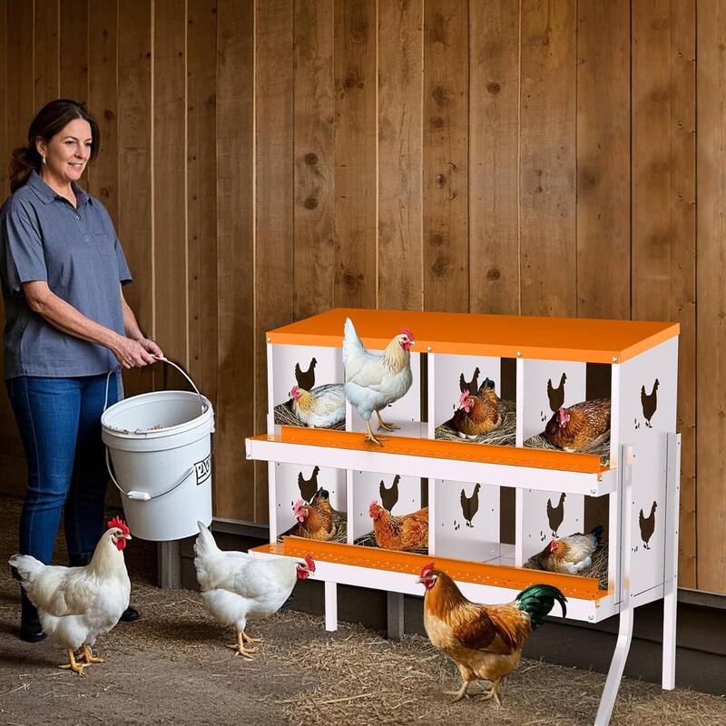 8 Compartment Metal Chicken Nesting Box, Laying Box for Hens Ducks Rabbits, Orange