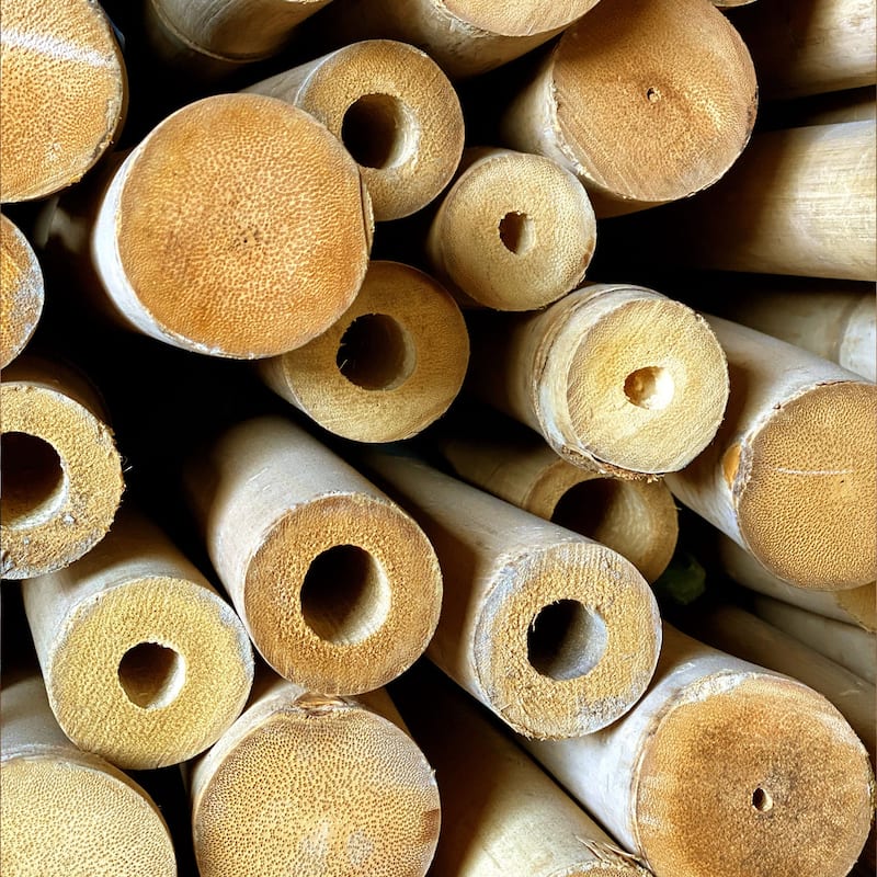 Solid Bamboo Poles for Structural Design and Support (6-Pack)