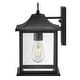 preview thumbnail 2 of 3, Lark 81590 Nolan 12" Tall Outdoor Wall Sconce with Clear Glass Shade