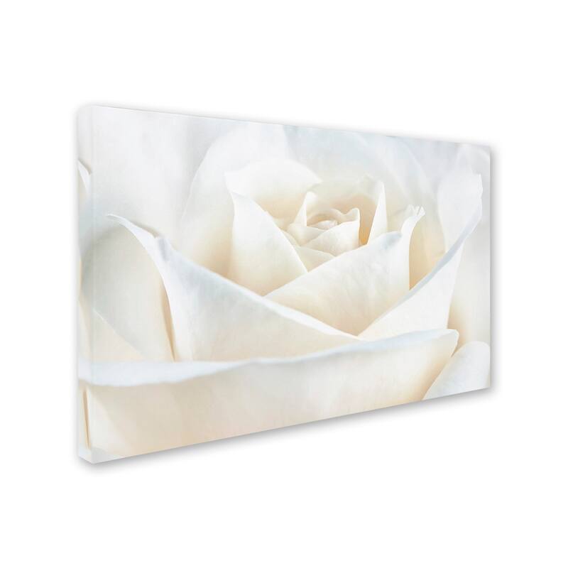 Cora Niele 'Pure White Rose' Canvas Art