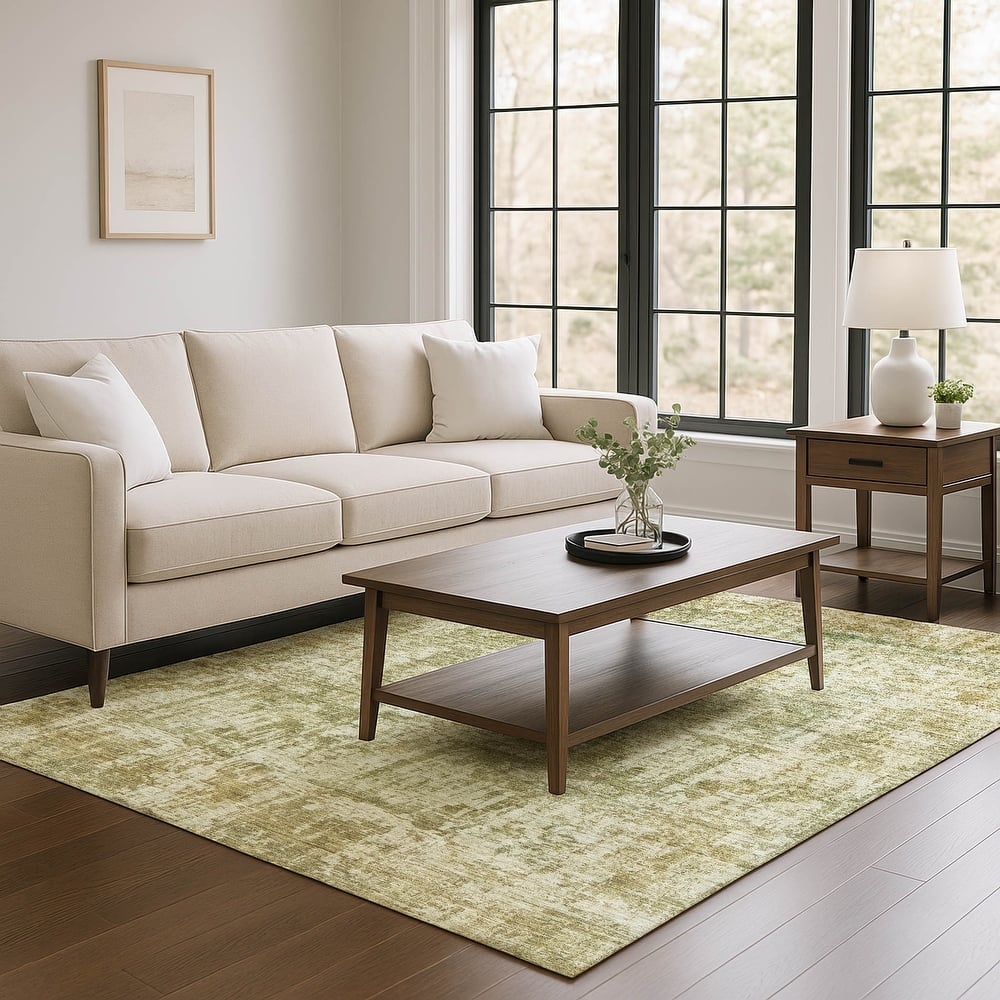 Premium Washable Super Soft Abstract Solid Mayfield Rug