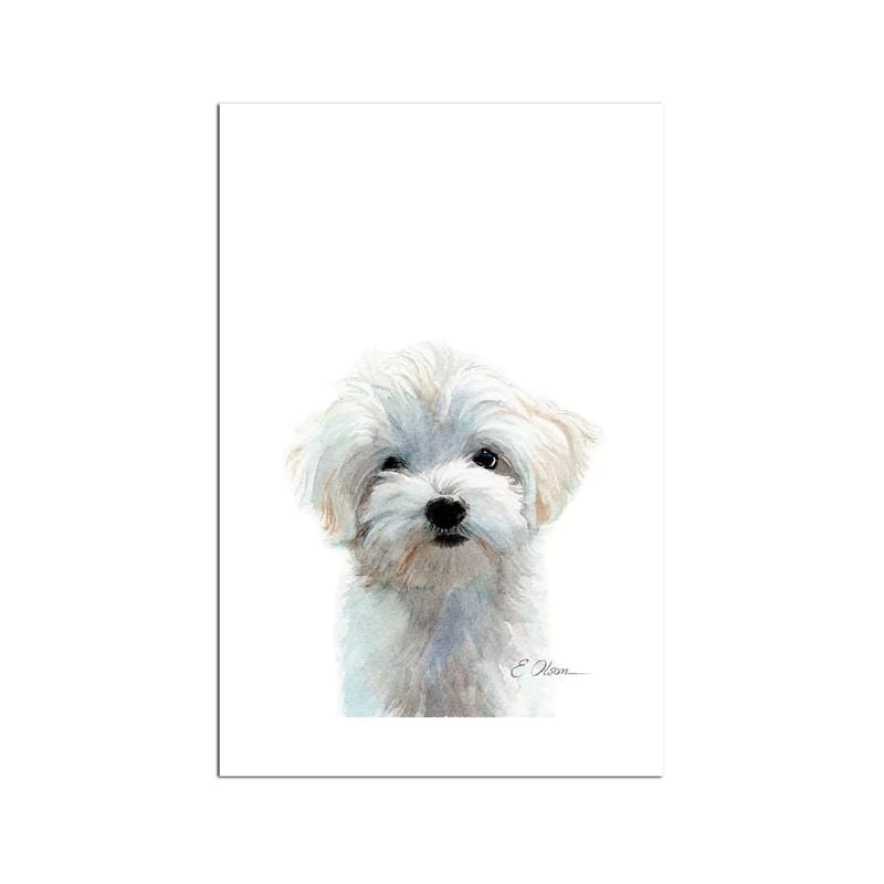 Maltese Puppy Fine Art Paper Print by Watercolor Luv - Multi