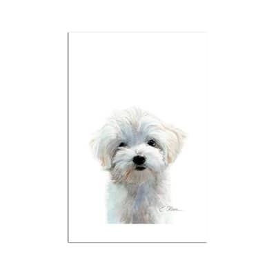 Maltese Puppy Fine Art Paper Print by Watercolor Luv - Multi