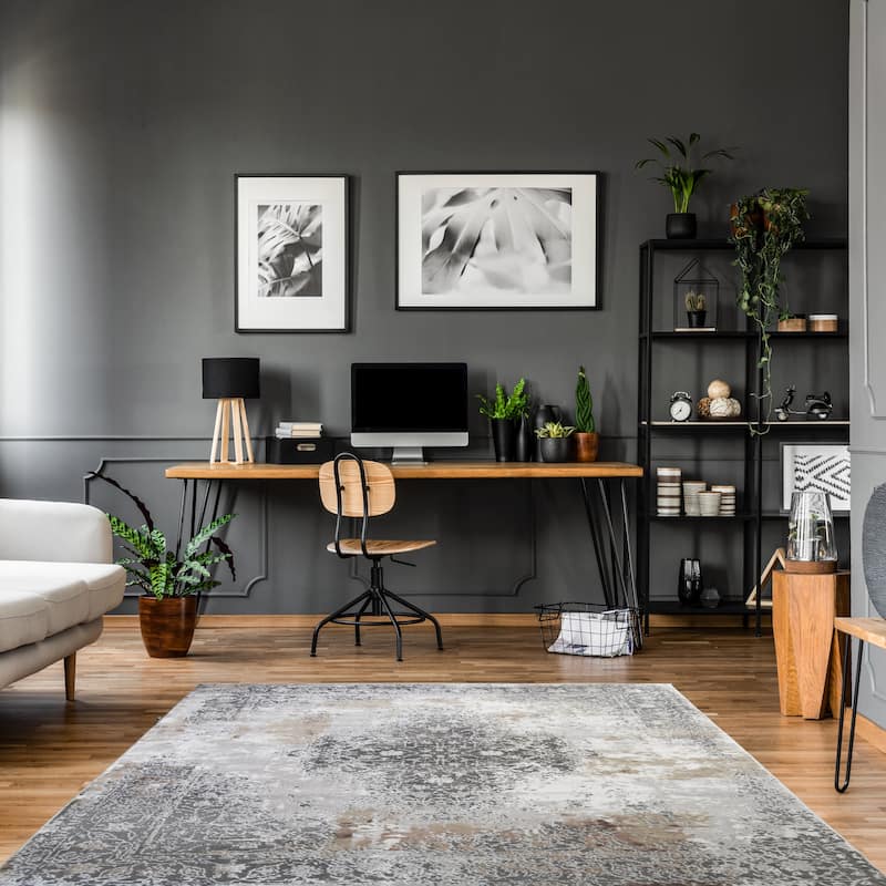 Everest Olympia Traditonal Distressed Area Rug