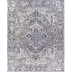 preview thumbnail 54 of 72, Livabliss Adenia Vintage Medallion Printed Area Rug