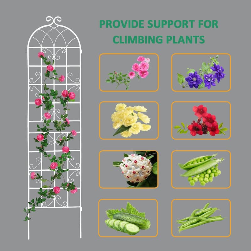 2 Pack Metal Garden Trellis