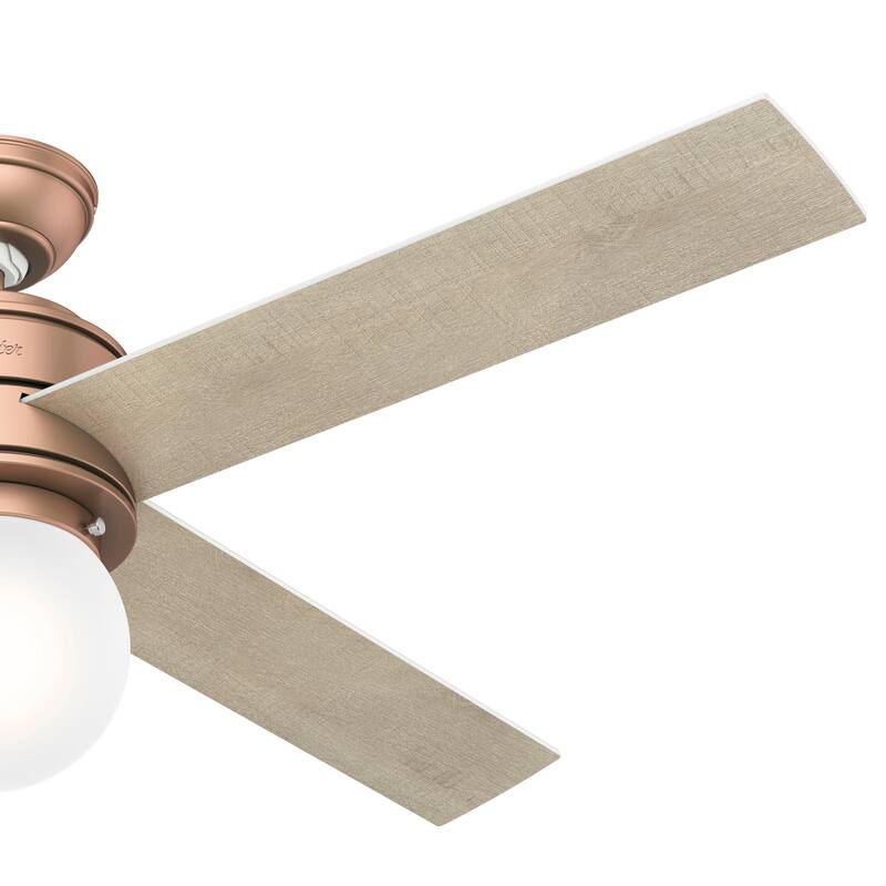 Hunter 52" Hepburn Ceiling Fan with LED Light Kit and Wall Control - Vintage, Mid-Century Modern, Transitional