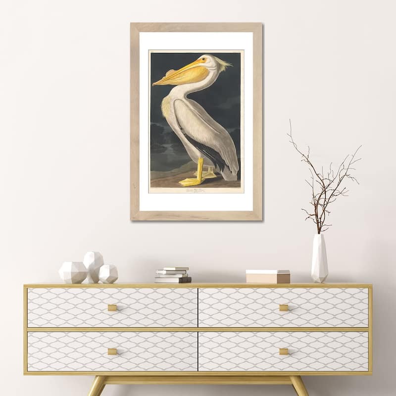 iCanvas "American White Pelican" by John James Audubon